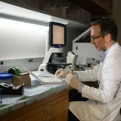 Dr. Antoni Ribas, director of the Tumor Immunology Program at the UCLA Health Jonsson Comprehensive Cancer Center, reviews a biopsy in his lab. 