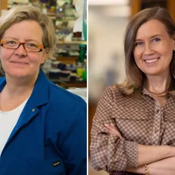 Kathrin Plath, PhD and Hanna Mikkola, MD, PhD