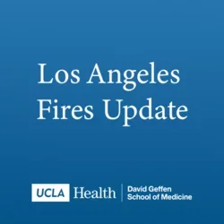 A graphic with a blue background stating, 'Los Angeles Fires Update'