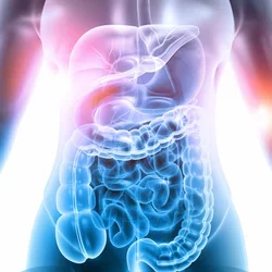 Malnourished Treatment TPN PPN Digestive System Graphic