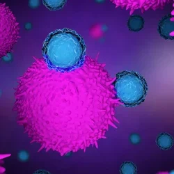 Cancer vaccines help train T cells (blue) to attack tumor cells. 