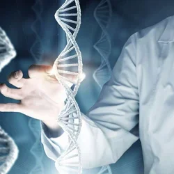 A physician with a graphical representation of DNA 