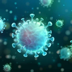 A graphical representation of coronaviruses