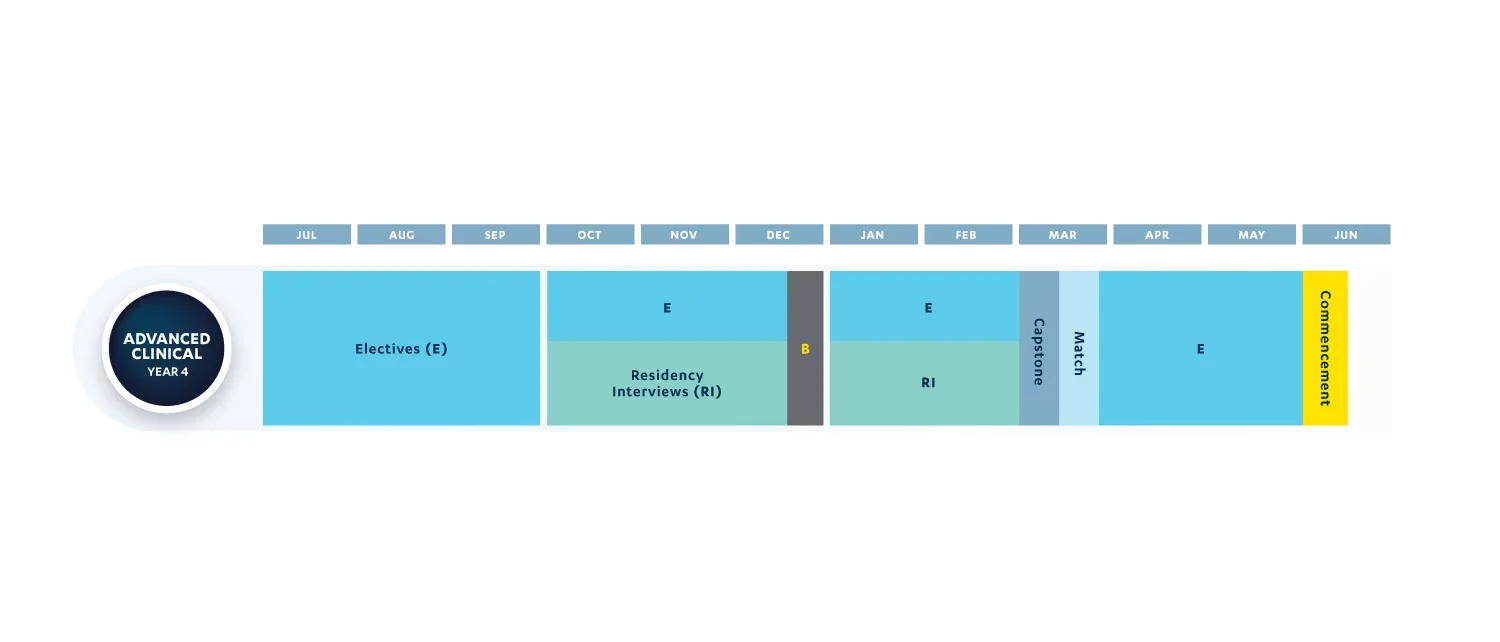 Heals Curriculum Year 4 timeline