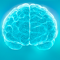 UCLA Brain Mapping Center