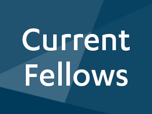 Current MEF Fellows