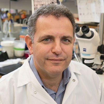 Bennett Novitch, MMSc, PhD - Research Scientist
