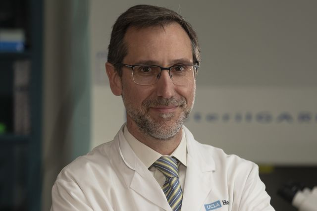 Dr. Antoni Ribas