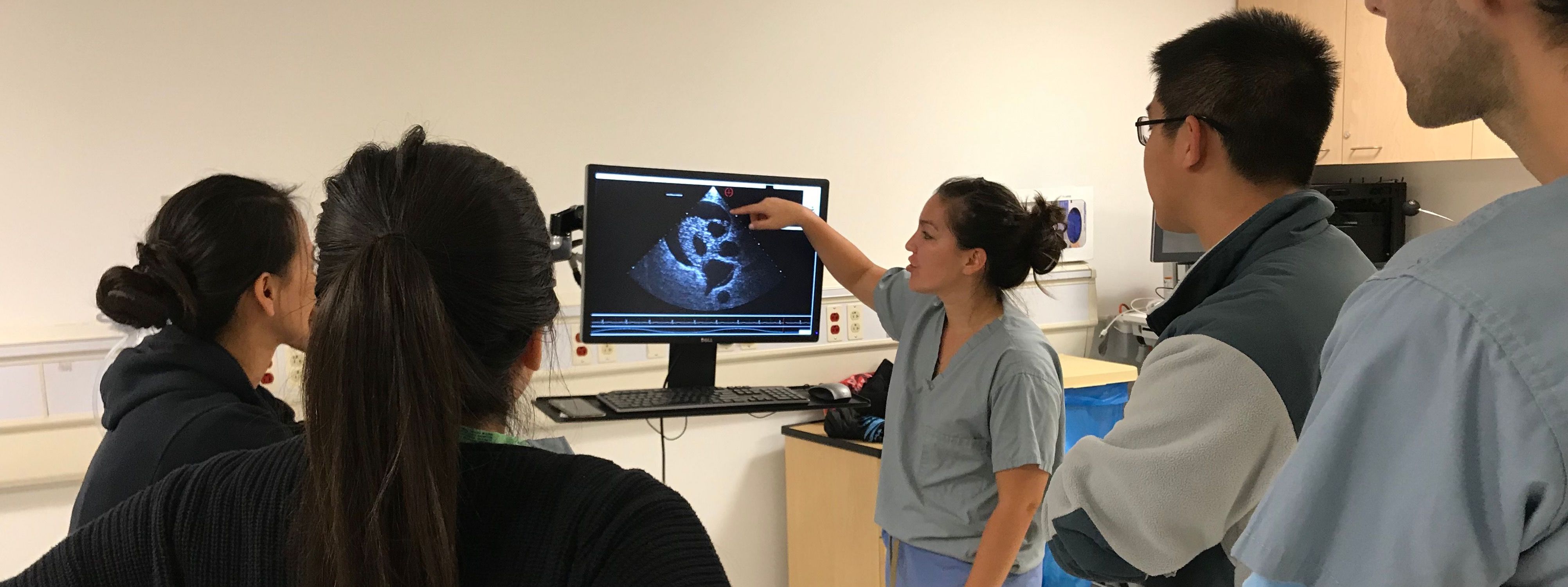 DGSOM students reading an ultrasound image