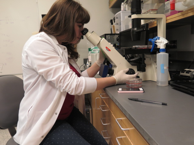 Medical student Sara Sakowitz in a research lab
