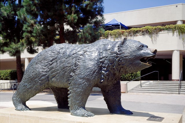 UCLA Bruin Bear