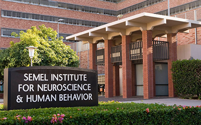 UCLA Semel Institute For Neuroscience And Human Behavior