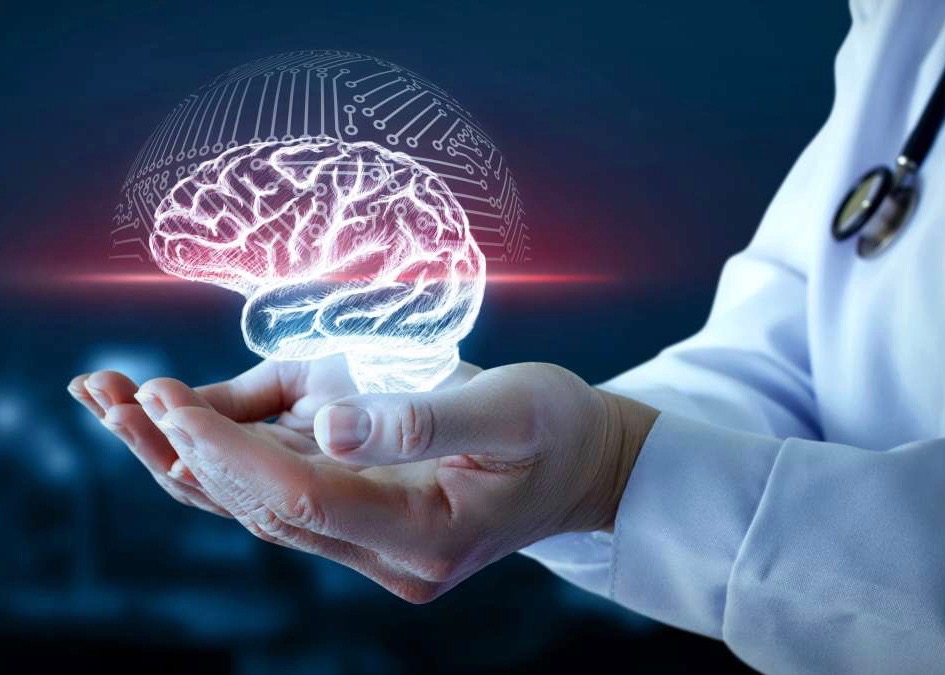 What Is Dementia Doctor in Lab Coat Holding Transparent Image of Brain in Hands