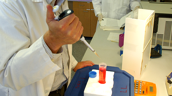 Researcher conducting a lab test