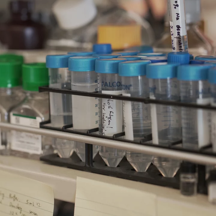Cell Cultures