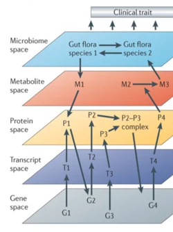 Diagram of clinical trait.png