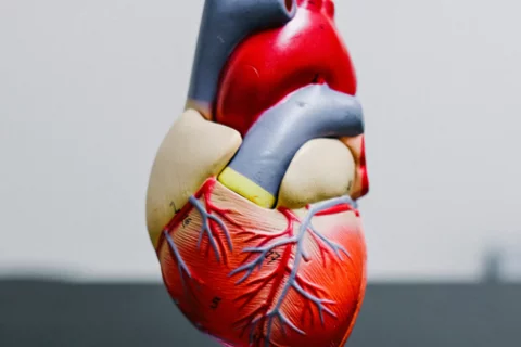 Heart art design