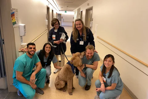 Animal Assisted Therapy Med Students With Dog