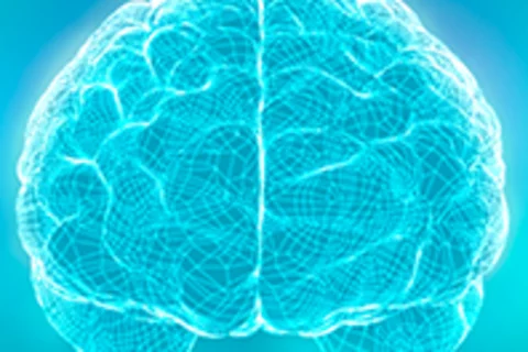 Autism Brain Mapping Center and neuroimaging in Autism