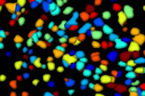 Color neurons
