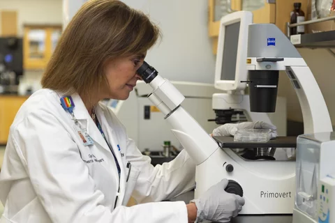 woman scientist looking through microscope