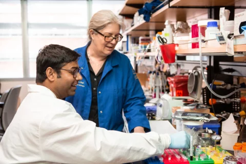 Sandeep Gupta works on stem cell research in UCLA faculty member Samantha Butler’s lab.