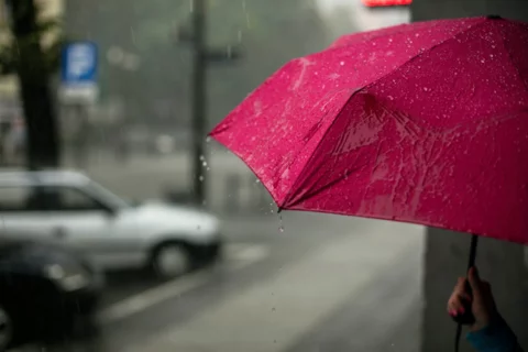 Heavy Winter Rains Related to Allergy Attacks Person Holding Umbrella