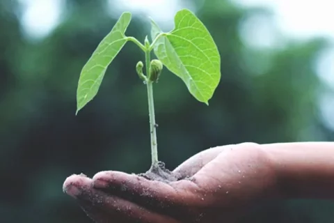 Translational Science Pilot Funding Program