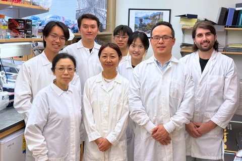 Lili Yang Lab