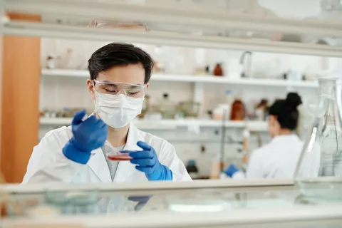 Apply to the MSCR Program