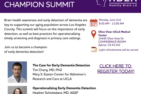 Dementia Awareness Champion Summit