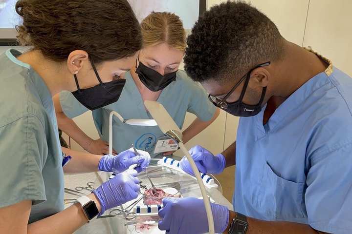 Medical student Myles Anderson, pictured completing a clinical training activity with mentors, shares why he's becoming a doctor.