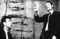 James Watson & Francis Crick in 1953 - Researching metabolism