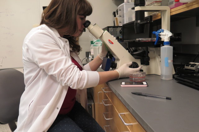 Medical student Sara Sakowitz in a research lab