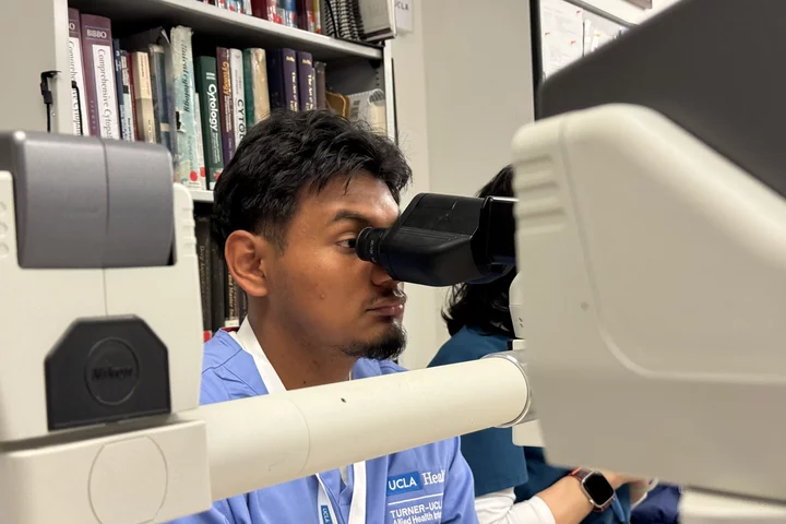 Student looking through microscope during Turner-UCLA Allied Health Internship rotation.