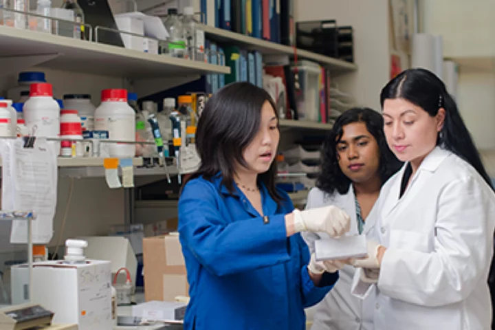 Jessica Wang Lab