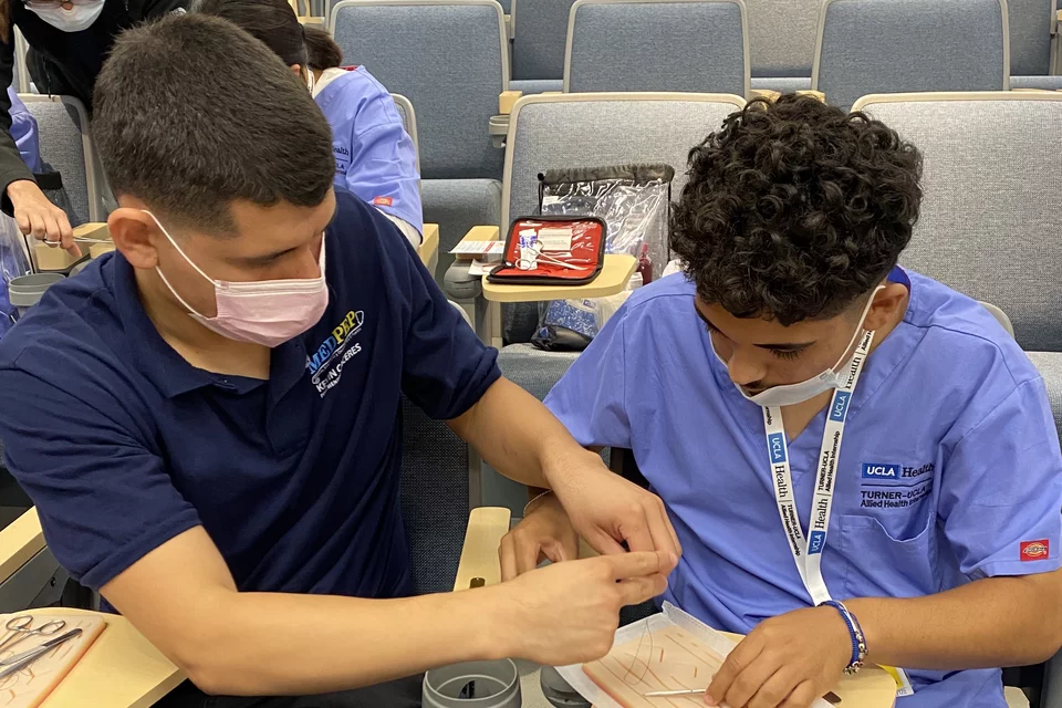 UCLA clinical health mentorship