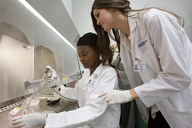 Medical school students working in a lab