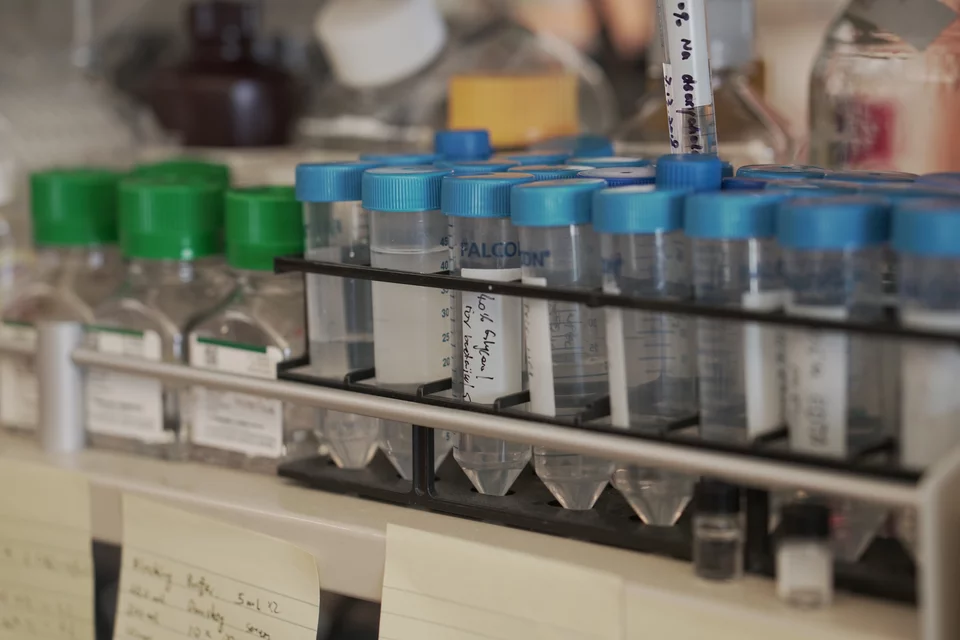 Cell Cultures