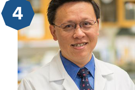 X. William Yang, MD, PhD - Medical School neuroscientist studying neurodegenerative diseases