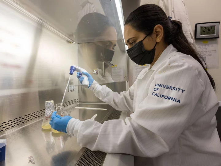 Researchers in the Gonen lab 