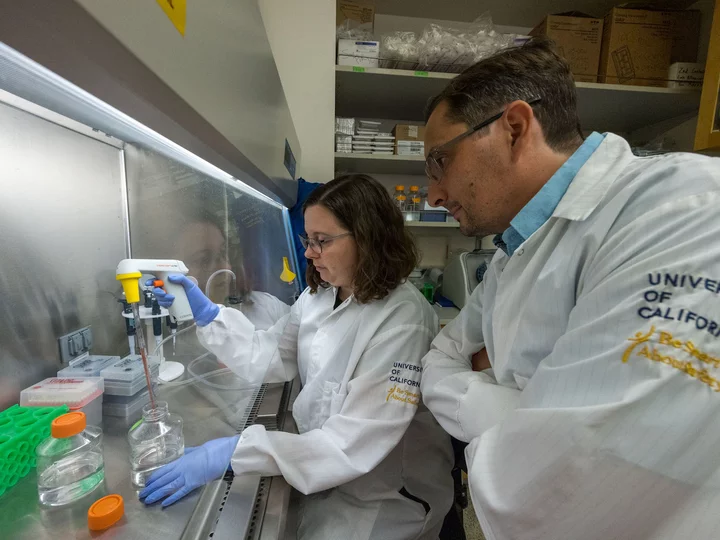 Bioscience Post-Grads Conducting an Experiment 