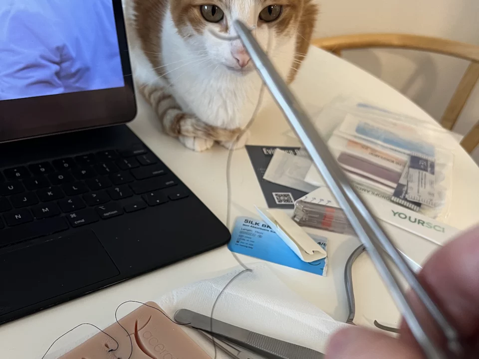 Tereza Vitkovska, whose rescue cat is pictured here, shares her story of becoming a doctor