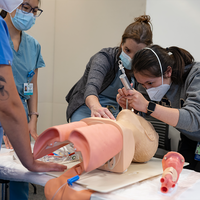 Final-Year Medical Student A medical student is inserting a tracheal tube in a simulation environment