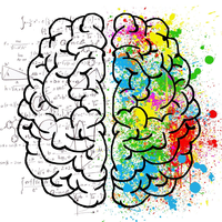 New Framework for Studying Brain Organization