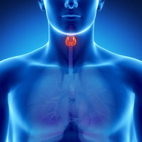Hypothyroidism vs Hyperthyroidism Thyroid Organ Graphic