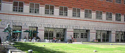 UCLA Brain Research Institute