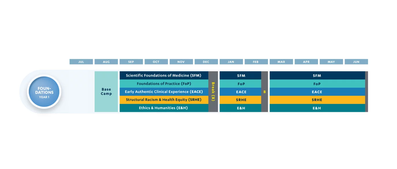 Heals Curriculum Year One Timeline