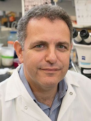 Bennett Novitch, MMSc, PhD - Research Scientist