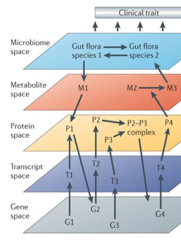 Diagram of clinical trait.png